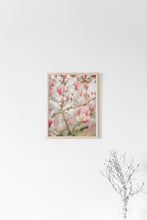 Load image into Gallery viewer, Japanese Magnolia